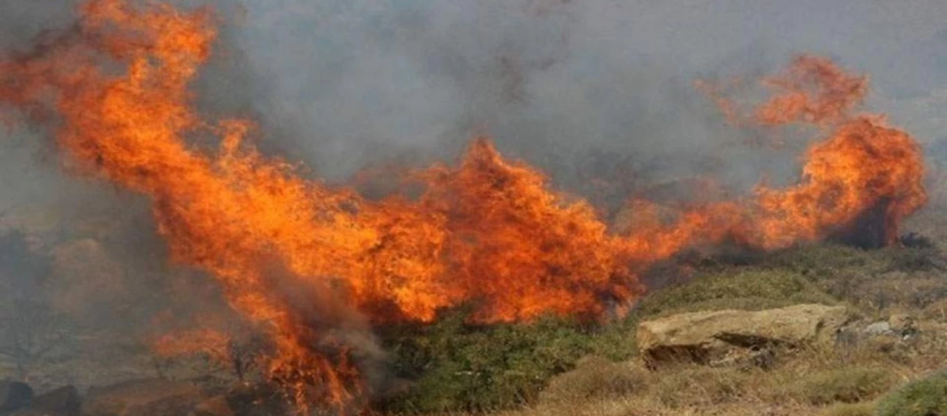 Φωτιά στην Εύβοια: Νεαρός έσωσε σκύλο μέσα από την πύρινη λαίλαπα στις Γούβες (φώτο)